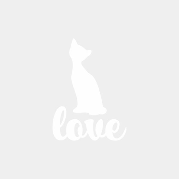 Cat Love Thumbnail